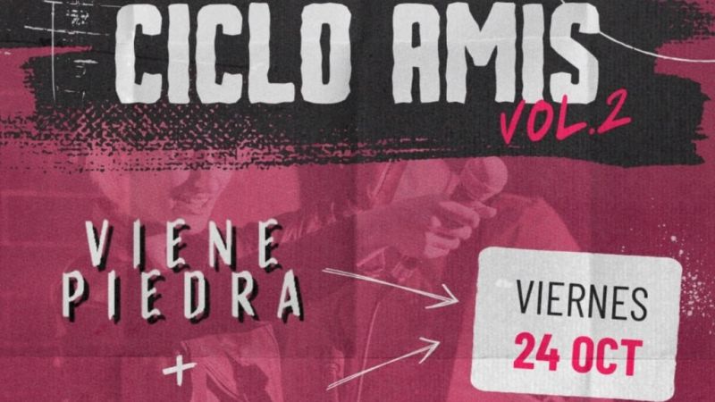 El trabajo de AMIS por los músicos